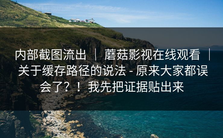 内部截图流出 ｜ 蘑菇影视在线观看 关于缓存路径的说法 - 原来大家都误会了？！我先把证据贴出来  第1张