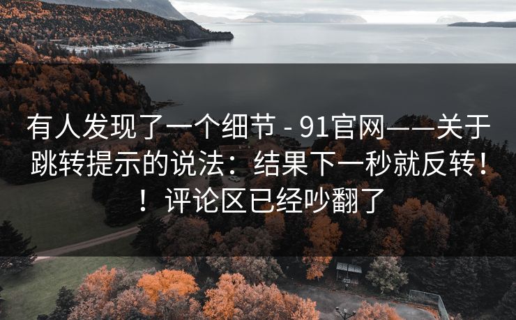 有人发现了一个细节 - 91官网——关于跳转提示的说法：结果下一秒就反转！！评论区已经吵翻了  第1张