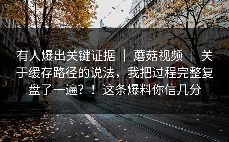 有人爆出关键证据 ｜ 蘑菇视频 ｜ 关于缓存路径的说法，我把过程完整复盘了一遍？！这条爆料你信几分